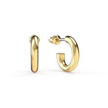 Load image into Gallery viewer, Mix Hoop Carrier Earrings Gold Plated