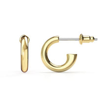 Load image into Gallery viewer, Mix Hoop Carrier Earrings Gold Plated