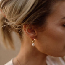 Load image into Gallery viewer, Mix Hoop Carrier Earrings Gold Plated