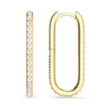 Load image into Gallery viewer, Grand Mix Carrier Earrings 31mm Gold Plated