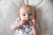 Load image into Gallery viewer, Koala Teether