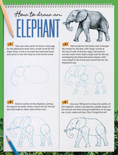 Load image into Gallery viewer, Garry Fleming - Activity Kit - How to Draw Animals